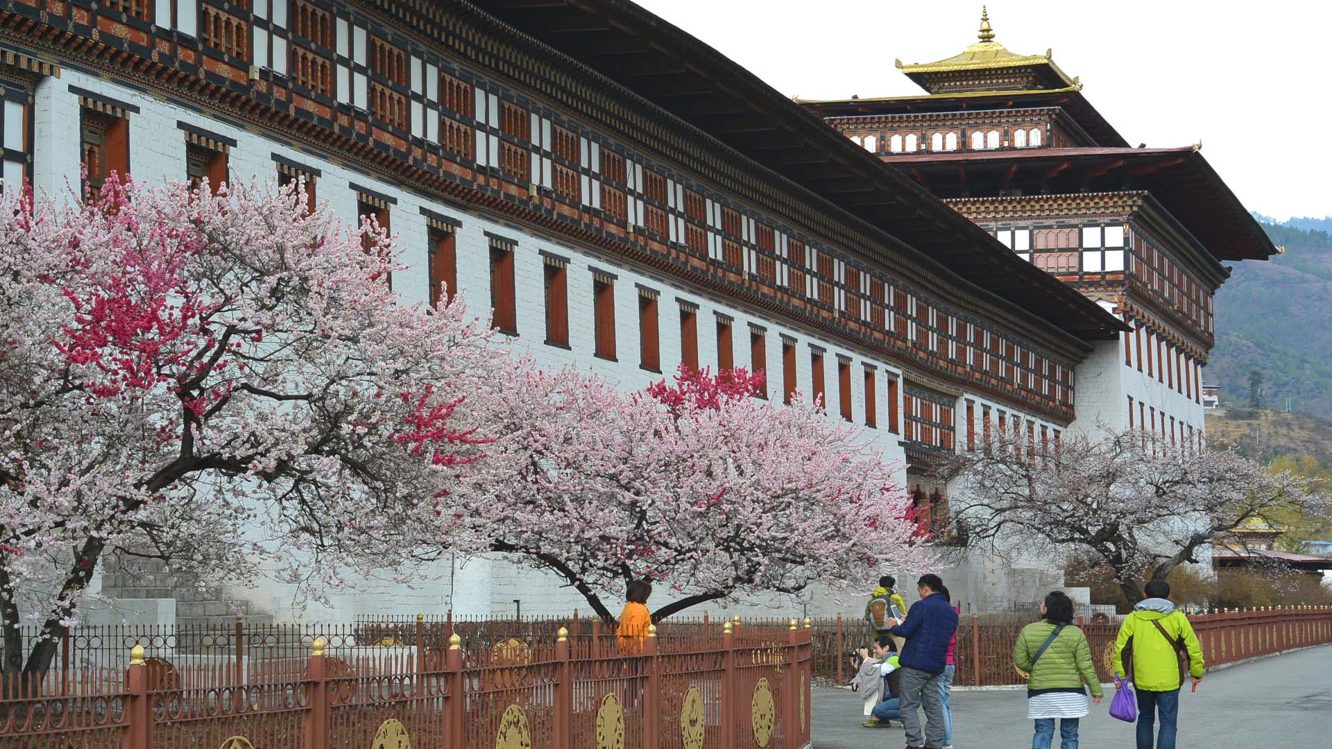 Places to visit in Thimphu