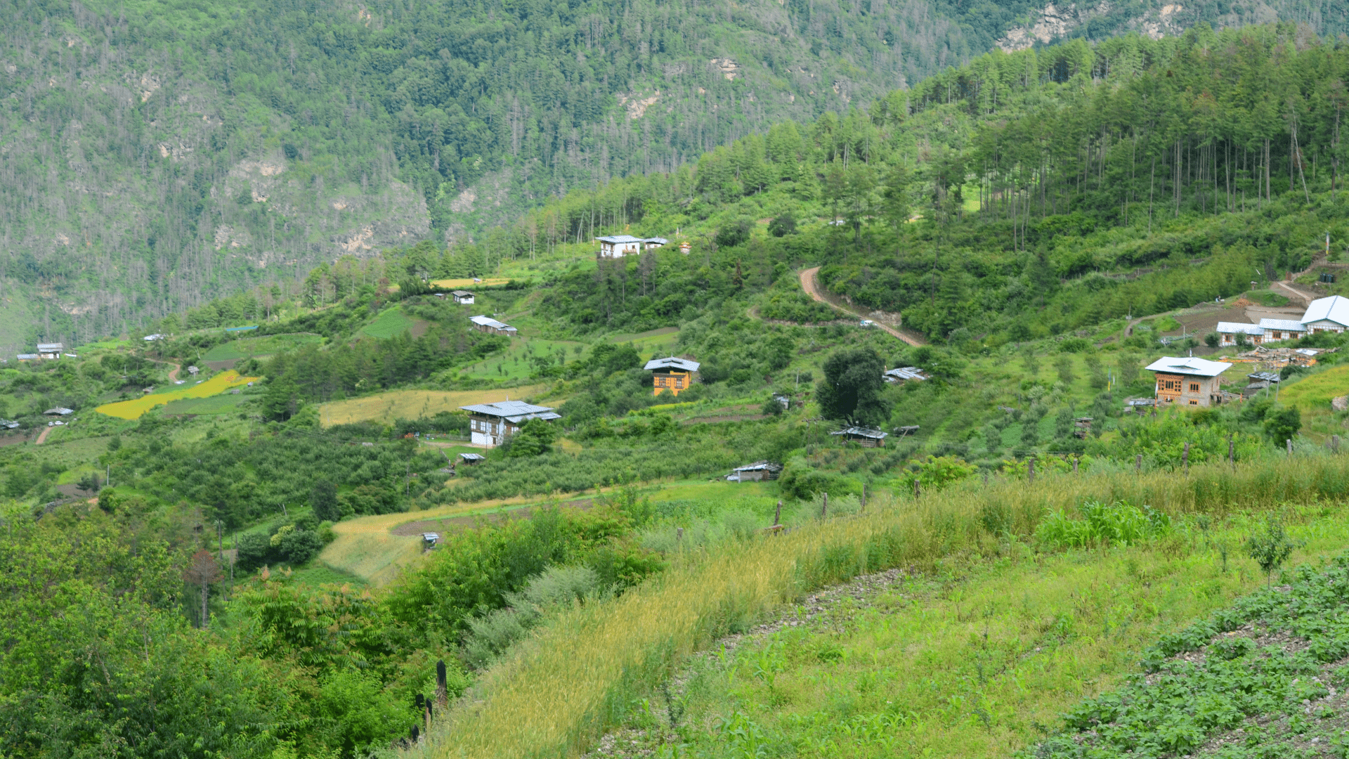 Hikes in Thimphu