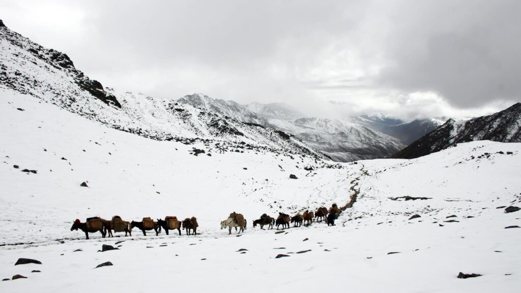 Trekking in Bhutan