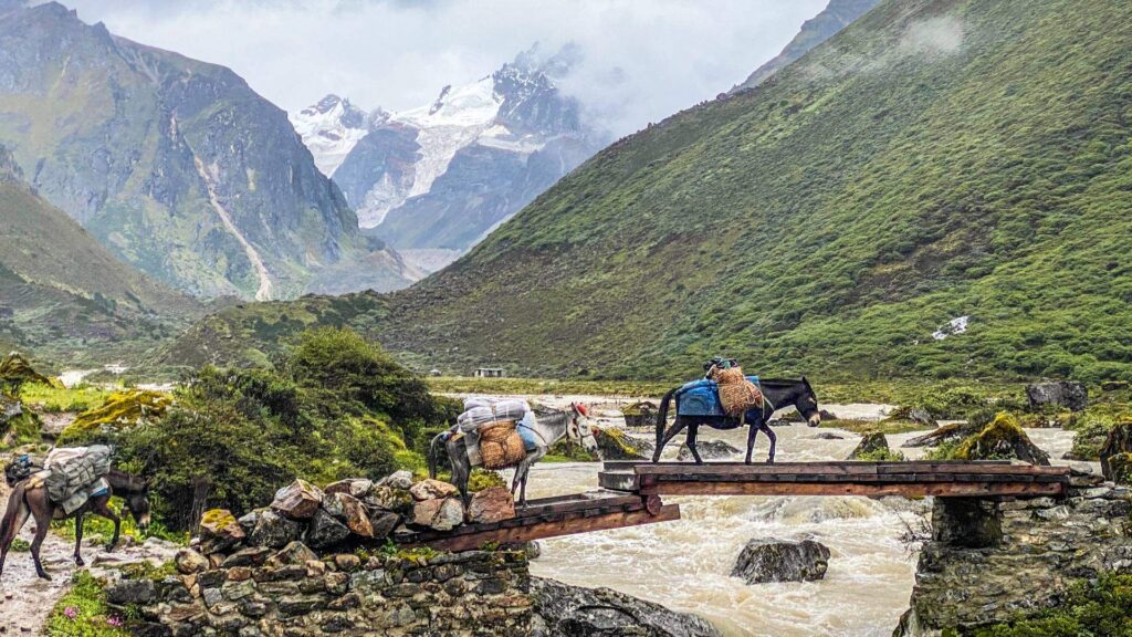 Trekking in Bhutan